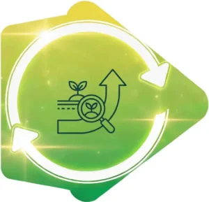 4. Garantizar un Impacto a Largo Plazo