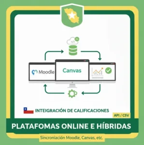 4. Plataformas Online e Híbridas
