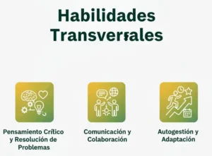 Habilidades Transversales