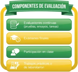 Componentes de Evaluación