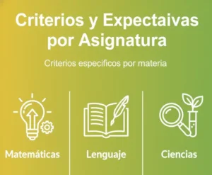 Criterios y Expectativas por Asignatura