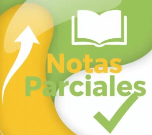 ¿Qué Son las Notas Parciales