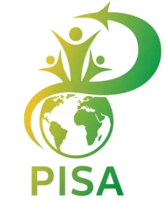 ¿Qué es el Programa para la Evaluación Internacional de Estudiantes (PISA)