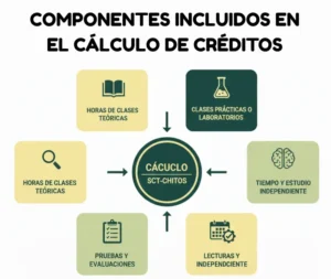 Componentes Incluidos en el Cálculo de Créditos