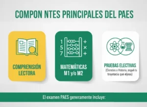 Componentes principales del PAES