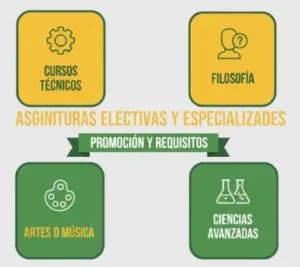 Asignaturas Electivas y Especializadas