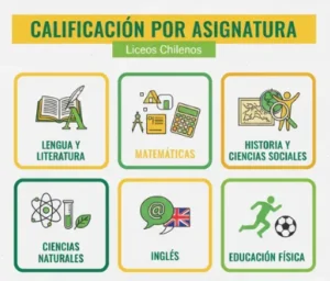 Calificación por Asignatura en Enseñanza Media