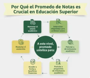 Por Qué el Promedio de Notas es Crucial en Educación Superior