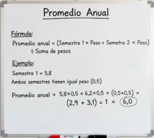 Promedio Anual
