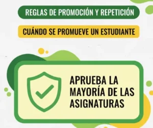 Reglas de Promoción y Repetición