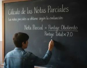 Cálculo de las Notas Parciales