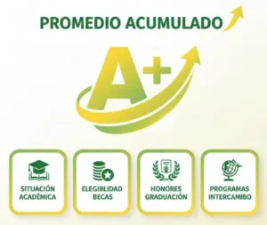 Este promedio acumulado determina aspectos clave como