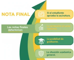 Impacto académico de la Nota Final