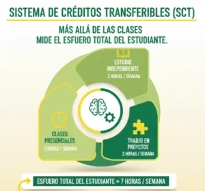 Por ejemplo, una asignatura puede incluir