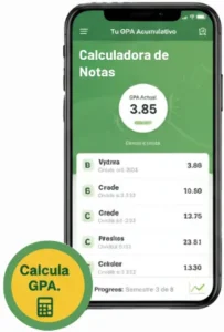 Seguimiento de Notas Acumulativas