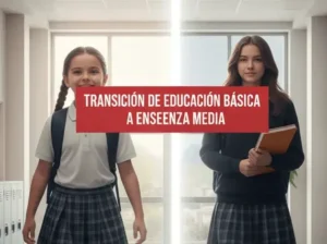 Transición de Educación Básica a Enseñanza Media