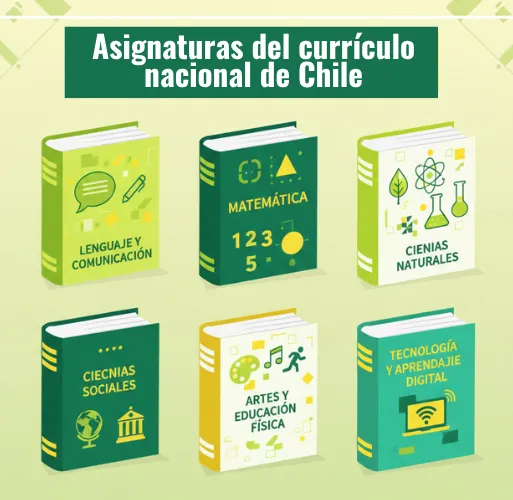 ¿Cómo se organizan las asignaturas?
